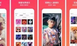 今日德州爆料新闻直播视频,最新爆料事件深度解析