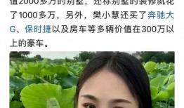 樊小慧视频爆料大全最新,揭秘背后惊人真相